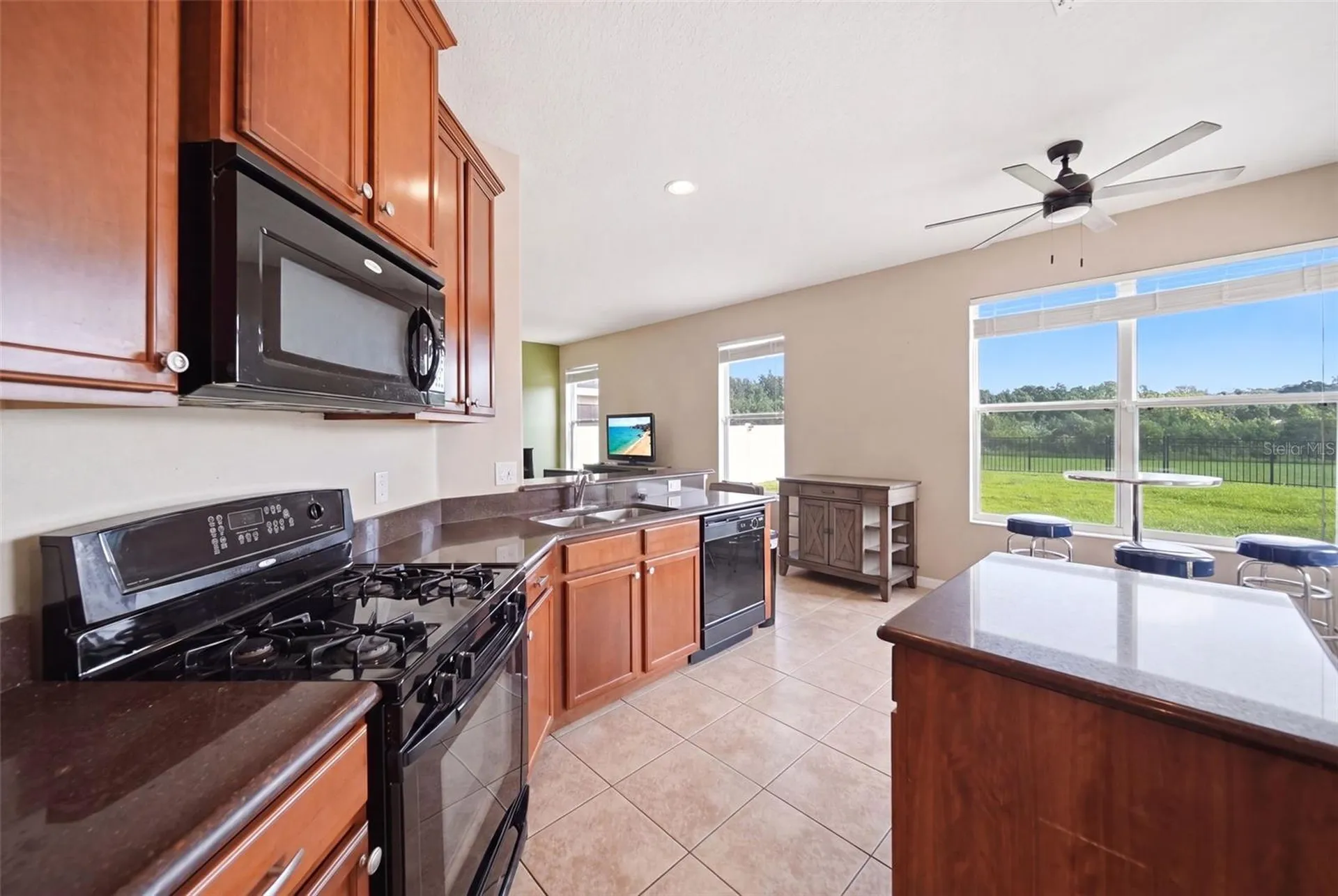 2391 Sabastian Street Mount Dora FL 32757