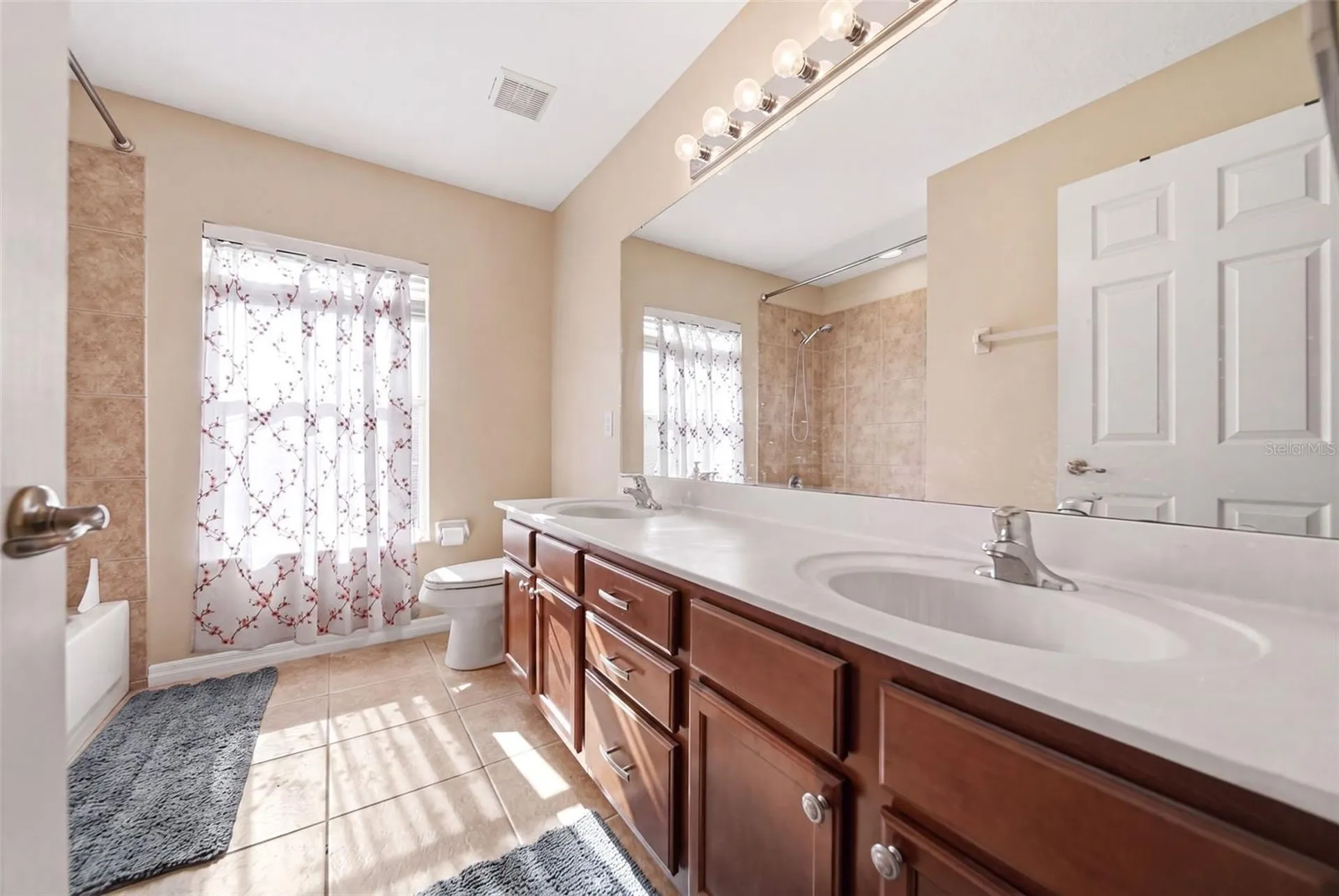 2391 Sabastian Street Mount Dora FL 32757