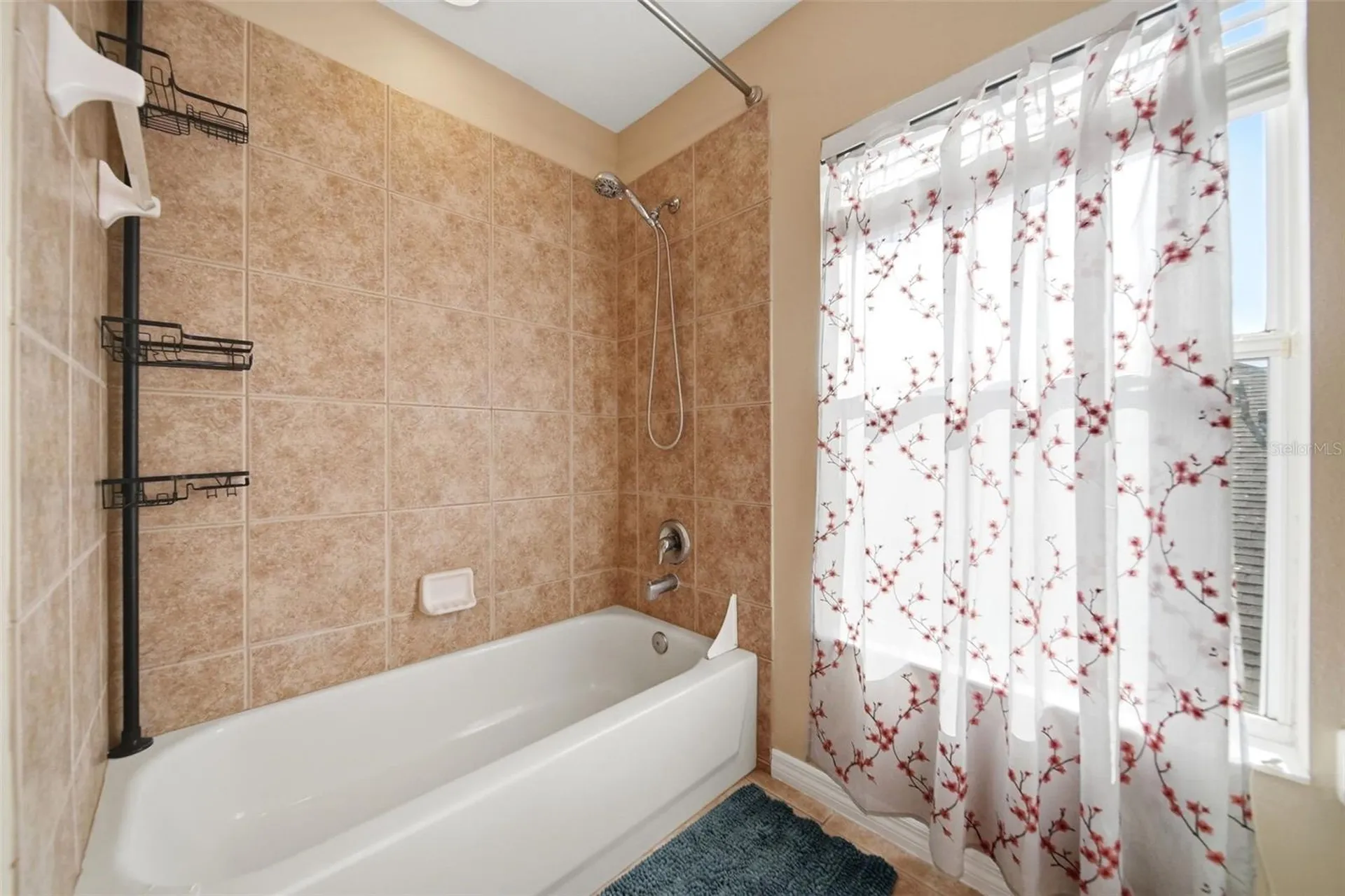 2391 Sabastian Street Mount Dora FL 32757