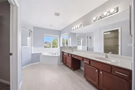 2391 Sabastian Street Mount Dora FL 32757