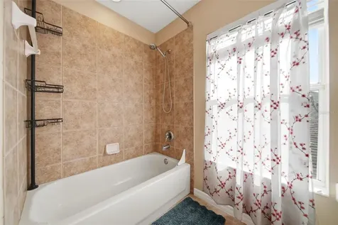 2391 Sabastian Street Mount Dora FL 32757