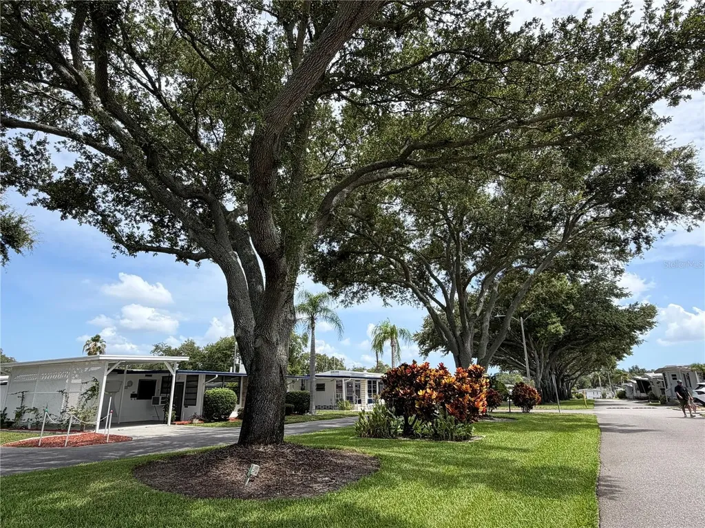 2331 Belleair Road Clearwater FL 33764