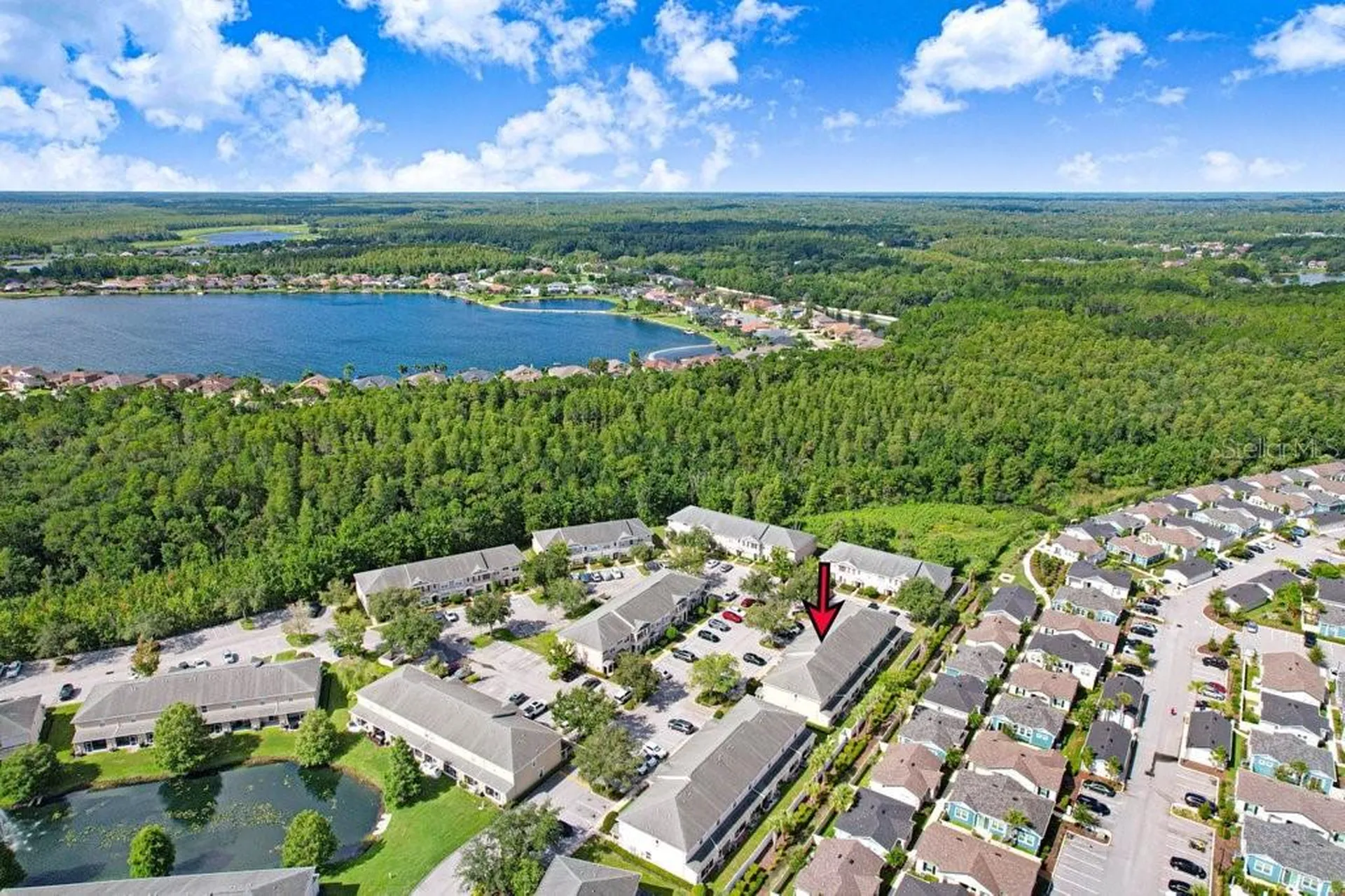 16217 Swan View Circle Odessa FL 33556