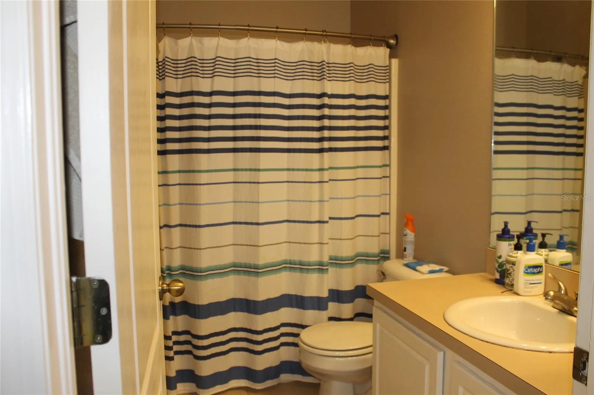 5815 Fishhawk Ridge Drive Lithia FL 33547