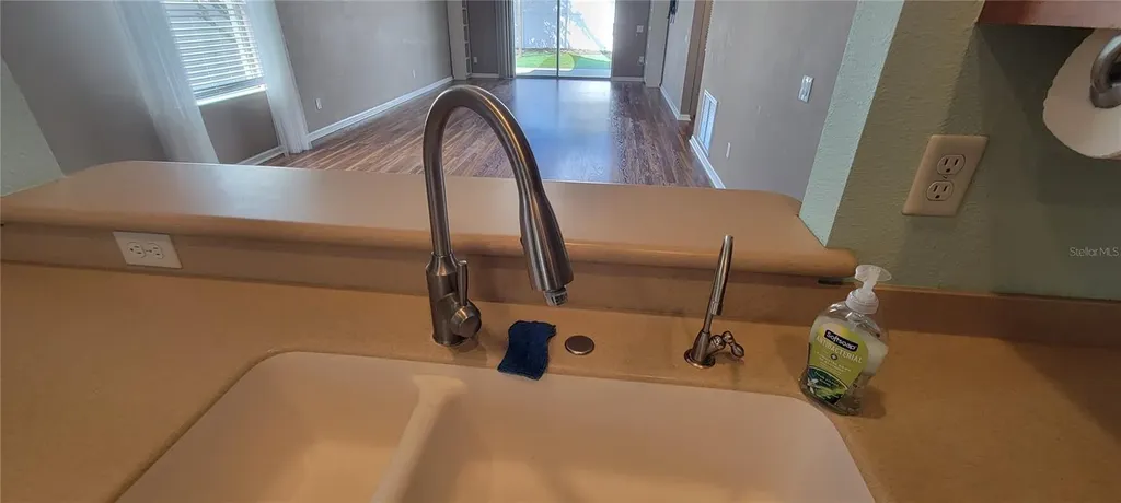 1109 China Aster Way Brooksville FL 34604