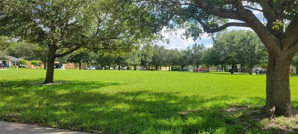 1109 China Aster Way Brooksville FL 34604