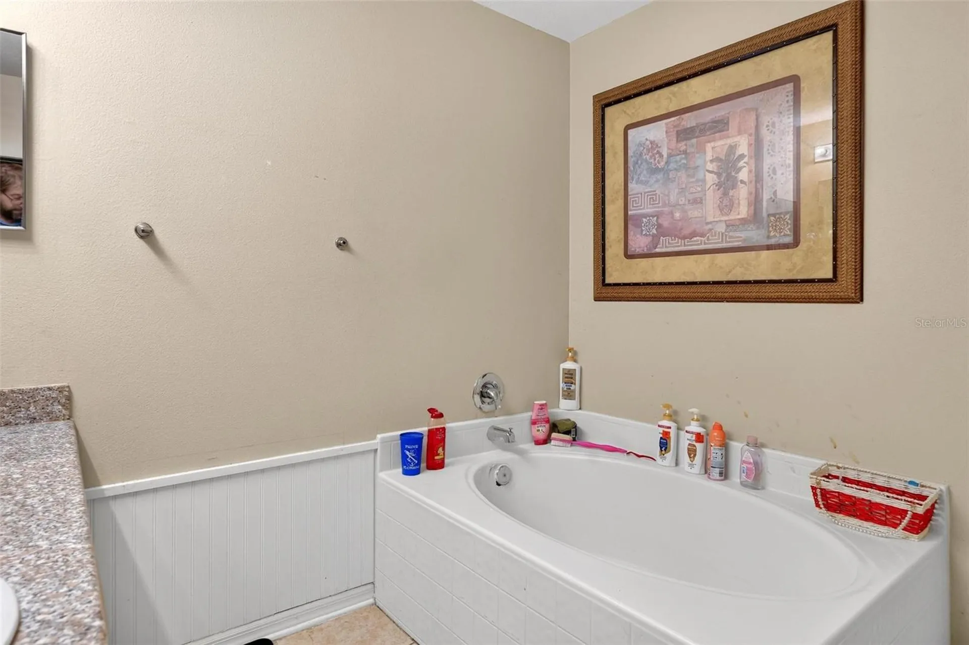 600 Briarcliff Road Eustis FL 32726