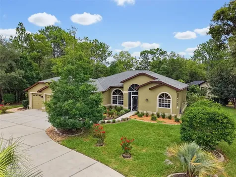 1 Plumbago Drive Homosassa FL 34446