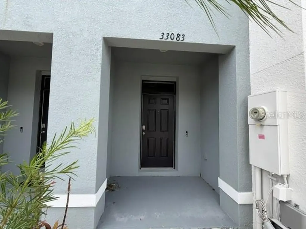 33083 Frosted Clover Way Wesley Chapel FL 33545