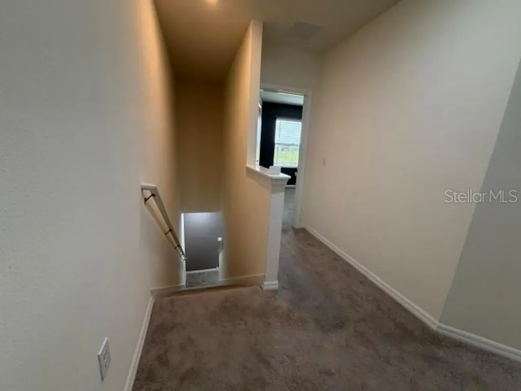 33083 Frosted Clover Way Wesley Chapel FL 33545