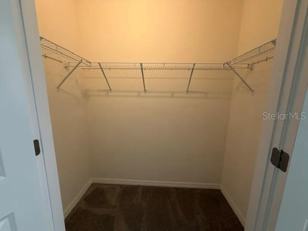 33083 Frosted Clover Way Wesley Chapel FL 33545