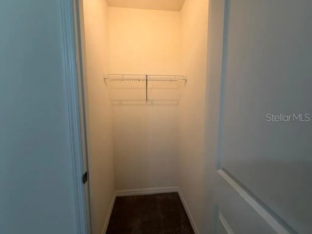 33083 Frosted Clover Way Wesley Chapel FL 33545