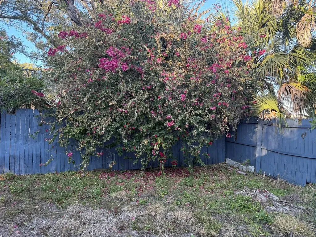 2020 E Powhatan Avenue Tampa FL 33610