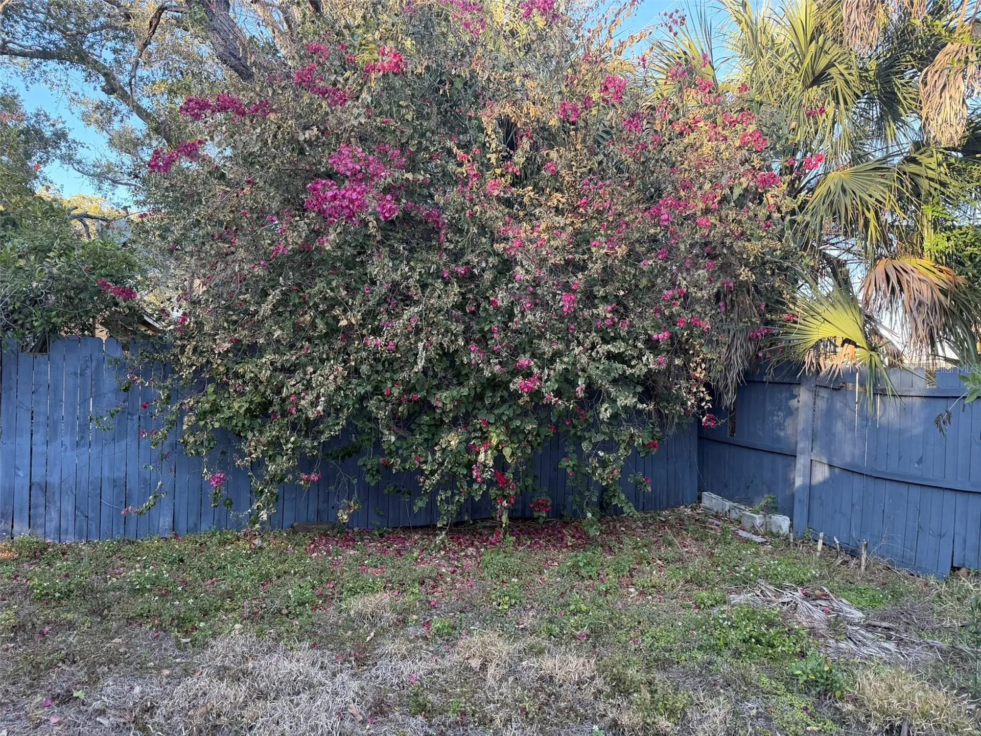 2020 E Powhatan Avenue Tampa FL 33610
