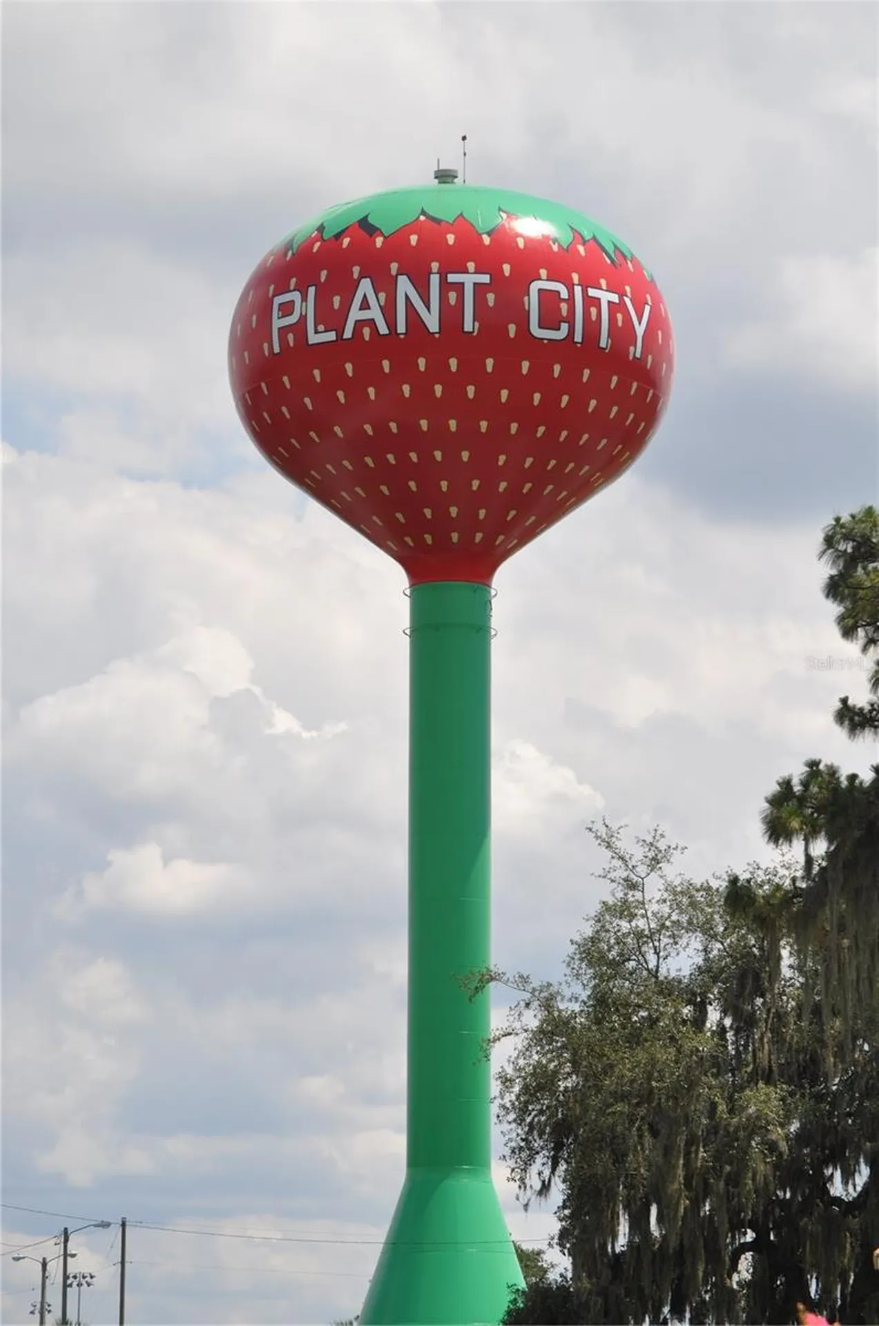 1325 E Laura Street Plant City FL 33563