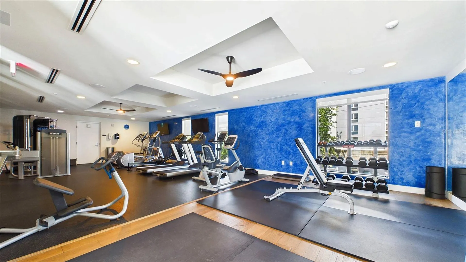 199 Dali Boulevard St Petersburg FL 33701