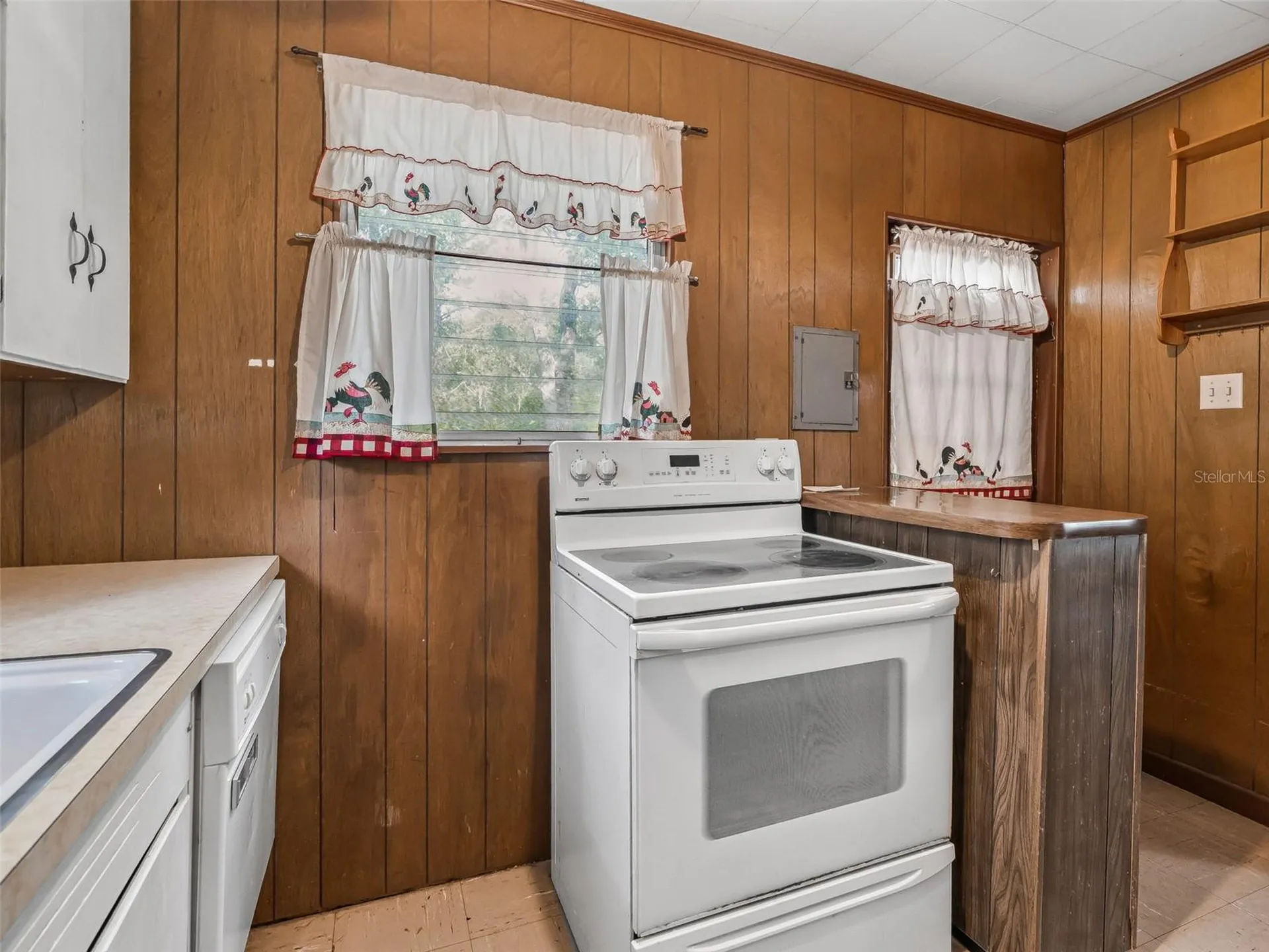 4935 SW 124th Lane Webster FL 33597