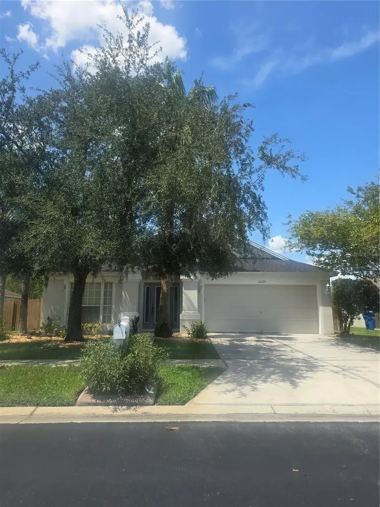 31125 Hannigan Place Wesley Chapel FL 33543