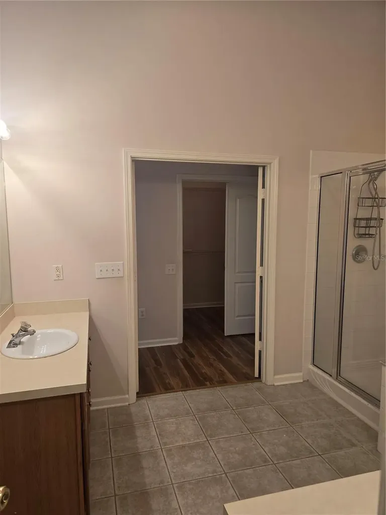 31125 Hannigan Place Wesley Chapel FL 33543