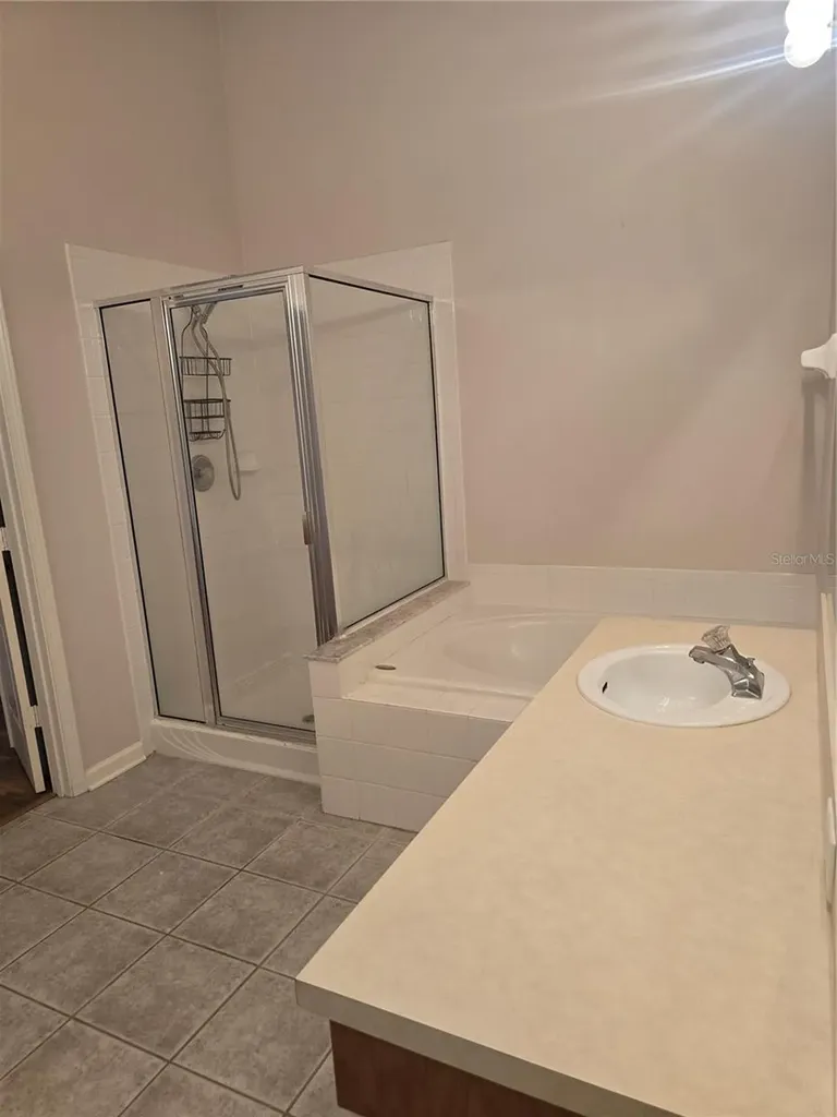 31125 Hannigan Place Wesley Chapel FL 33543