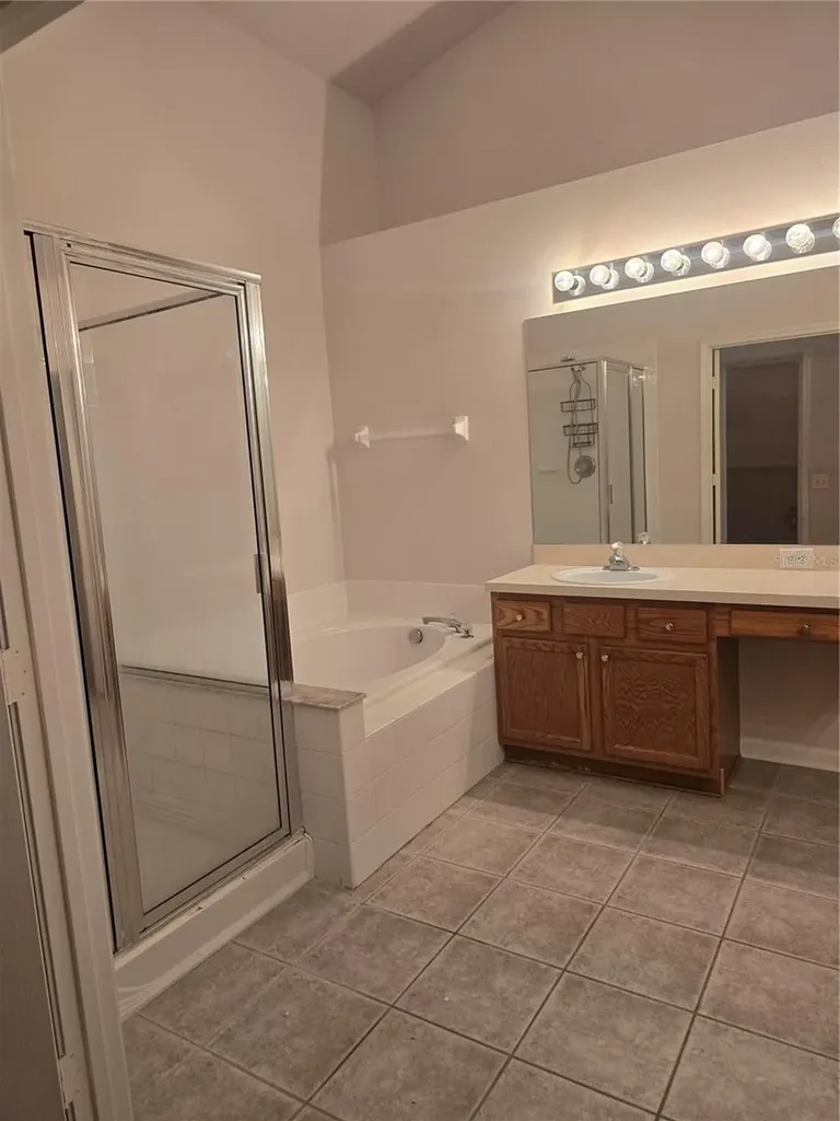 31125 Hannigan Place Wesley Chapel FL 33543
