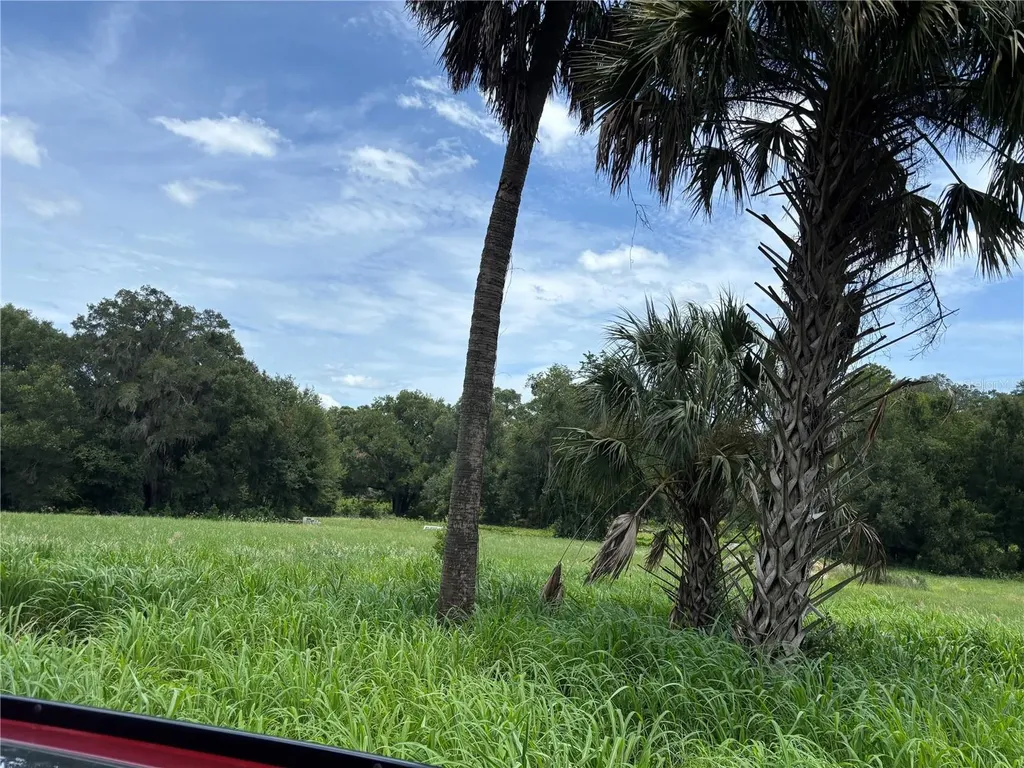 NE 23 Citra FL 32113