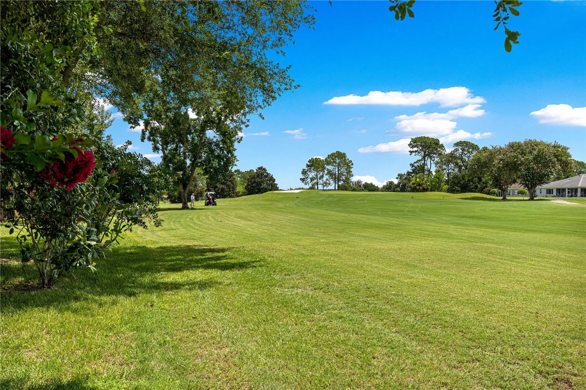 9037 SW 91st Circle Ocala FL 34481
