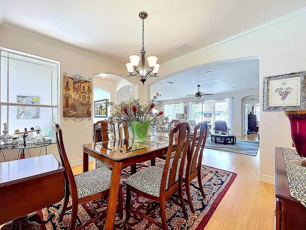 14530 Balloch Drive Hudson FL 34667