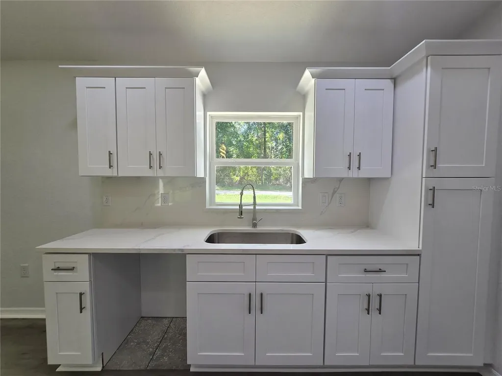 11 Sequoia Loop Place Ocklawaha FL 32179