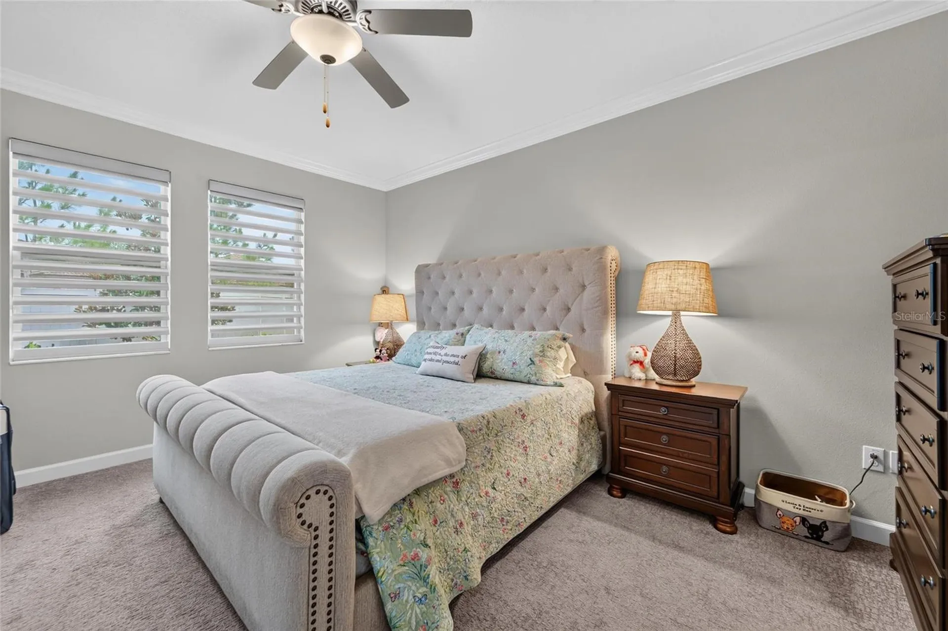 16817 Whisper Elm Street Wimauma FL 33598