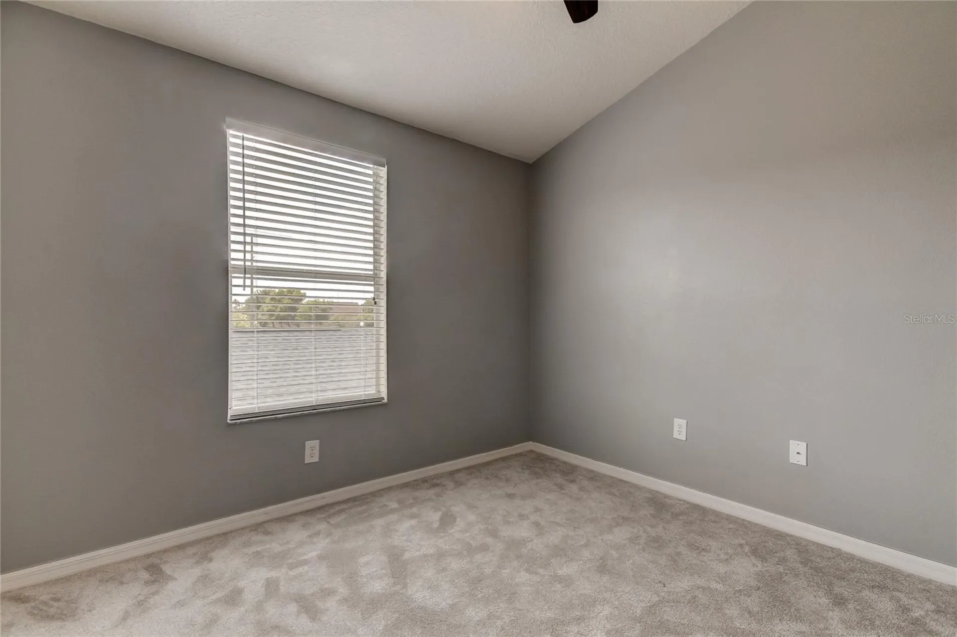 10003 Bradwell Place Tampa FL 33626