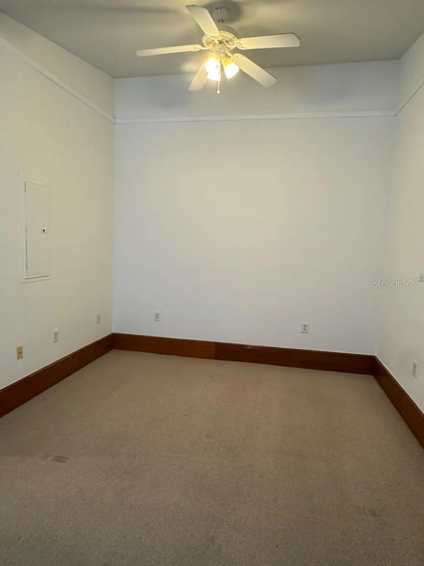 1229 N Franklin Street Tampa FL 33602