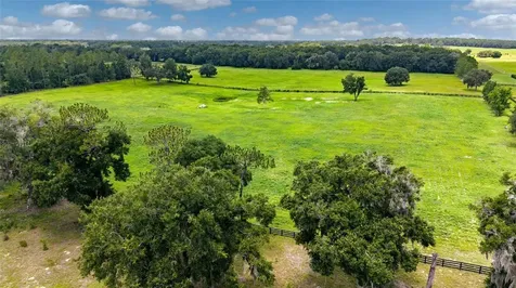 SE 159th Lane Summerfield FL 34491