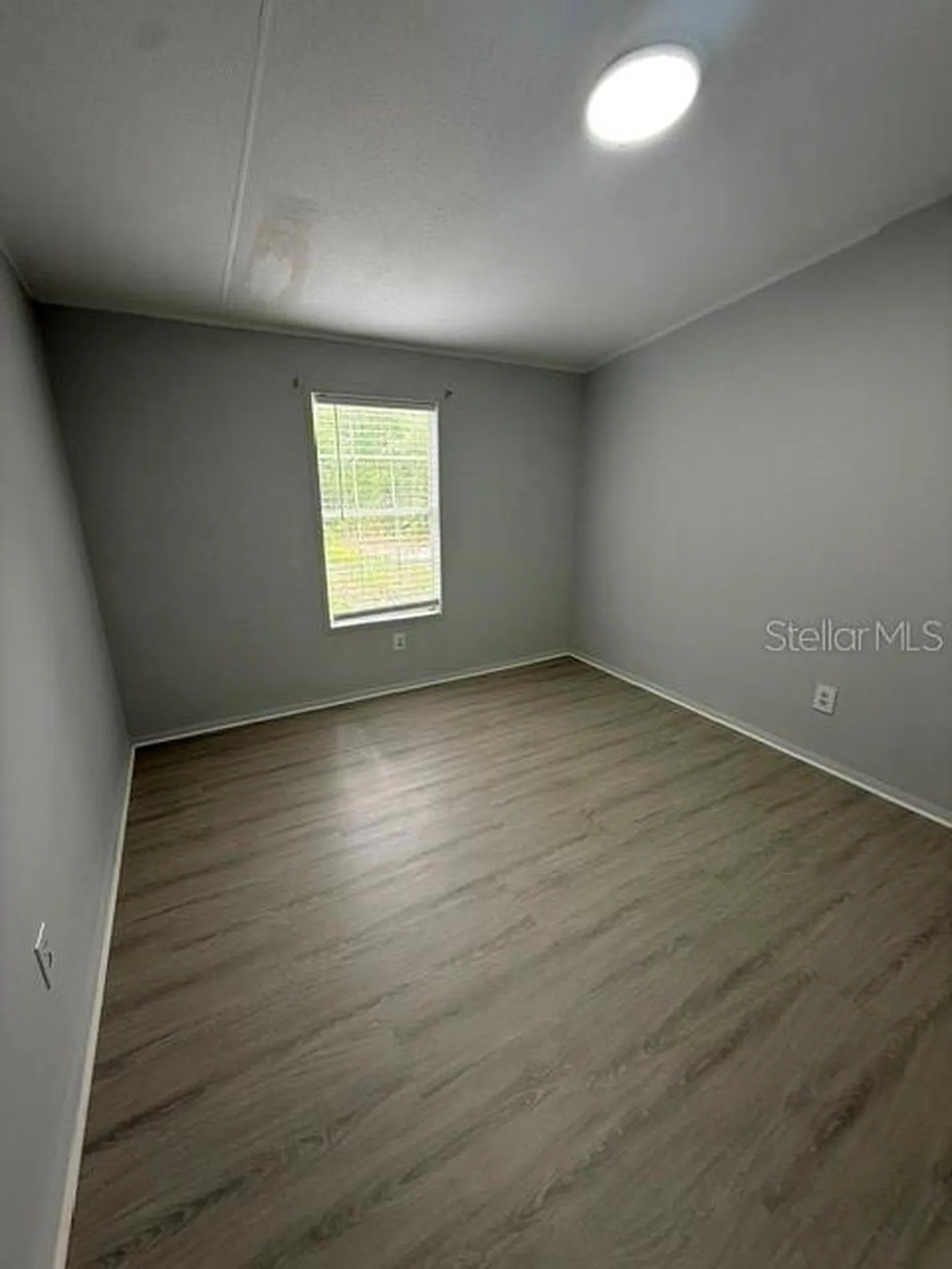 10405 Jungle Street New Port Richey FL 34654