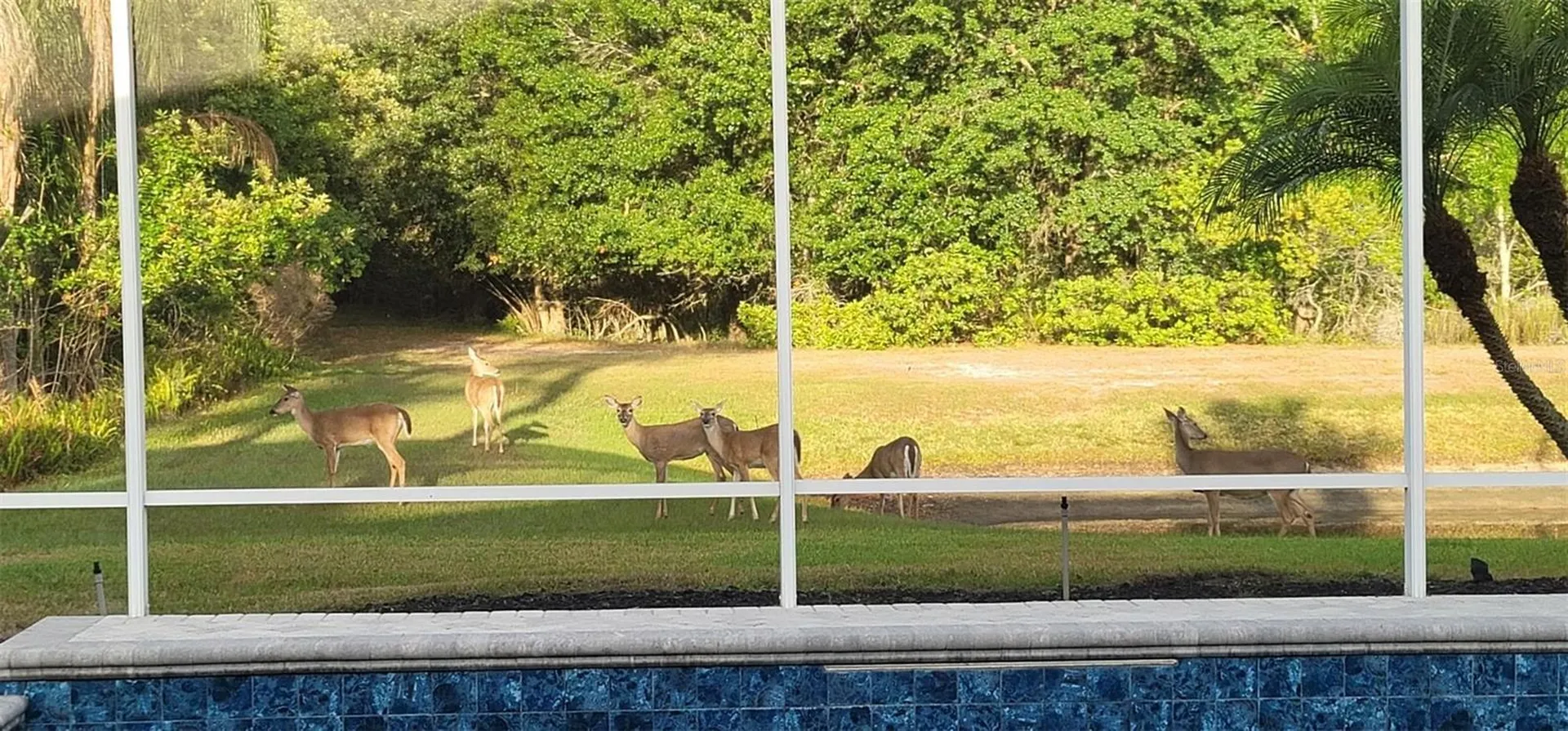 5522 Reflections Boulevard Lutz FL 33558