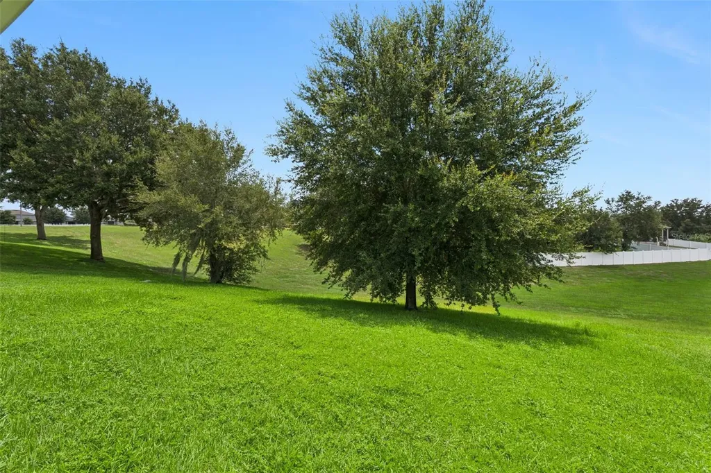 3254 Landing View Tavares FL 32778