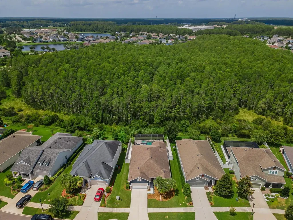 2815 Satilla Loop Odessa FL 33556