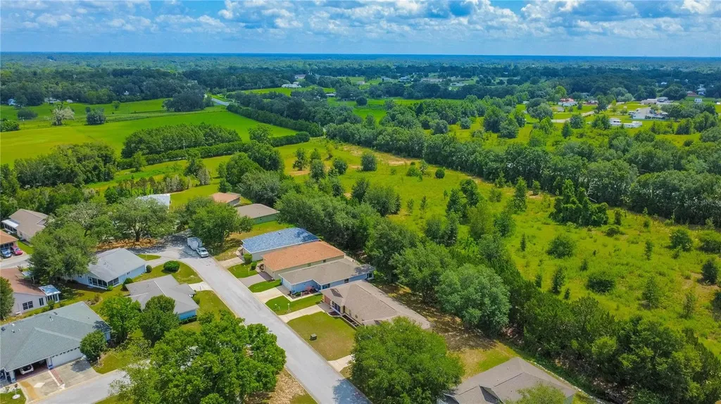 10407 S Drew Bryant Circle Floral City FL 34436