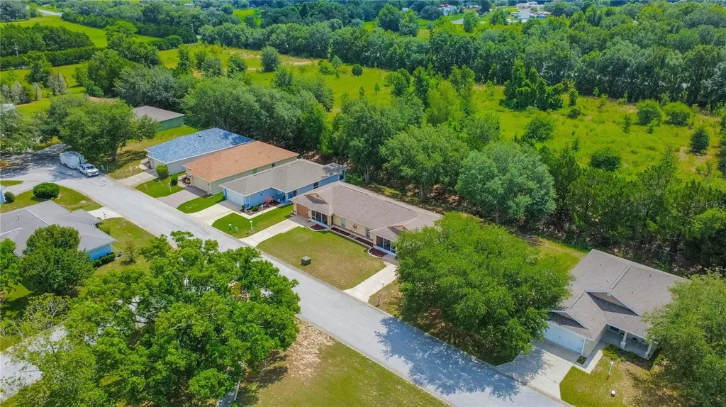 10407 S Drew Bryant Circle Floral City FL 34436