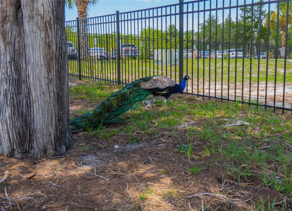 10446 Scenic Lake Drive Weeki Wachee FL 34613