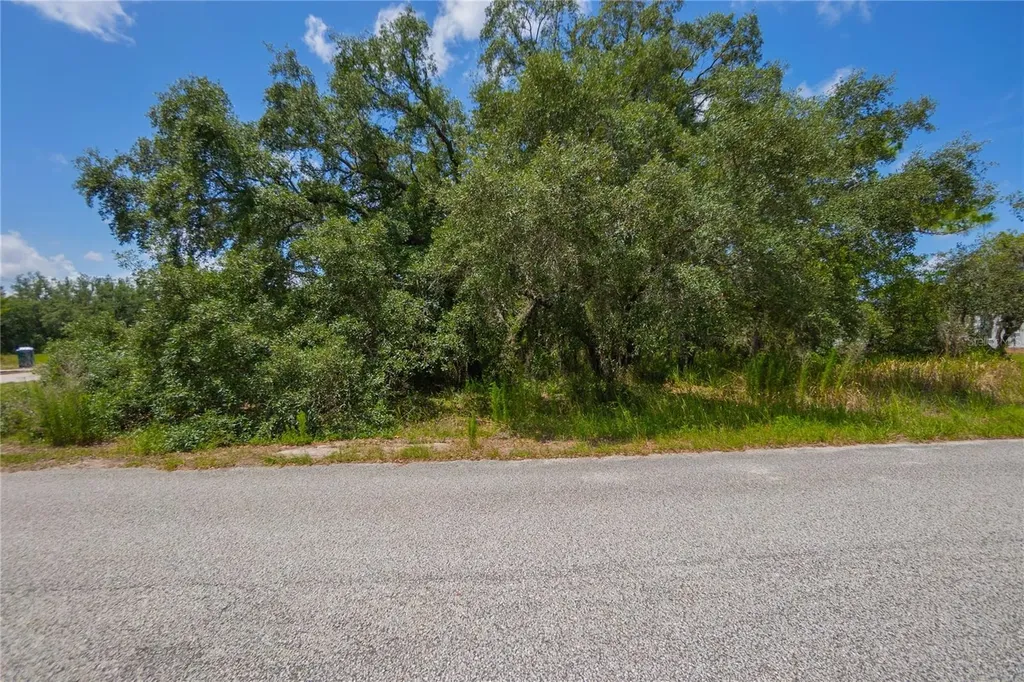 10446 Scenic Lake Drive Weeki Wachee FL 34613
