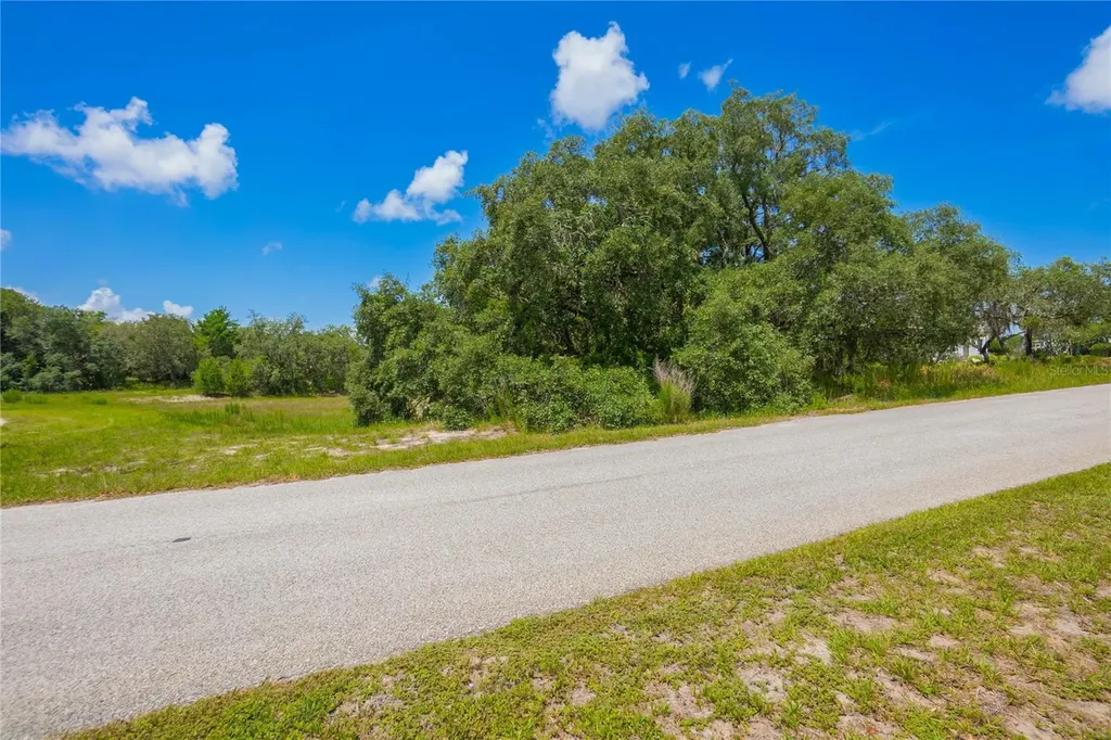 10446 Scenic Lake Drive Weeki Wachee FL 34613