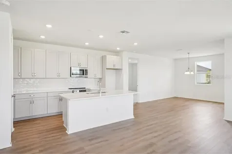 30173 Emerald Forest Drive Mount Dora FL 32757