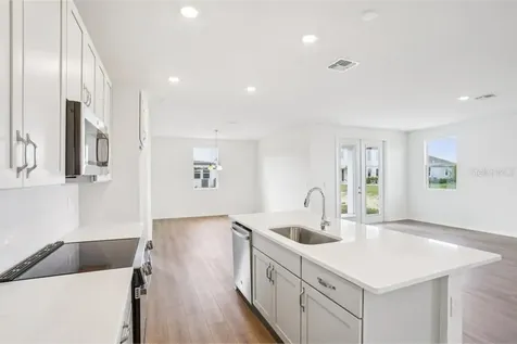 30173 Emerald Forest Drive Mount Dora FL 32757