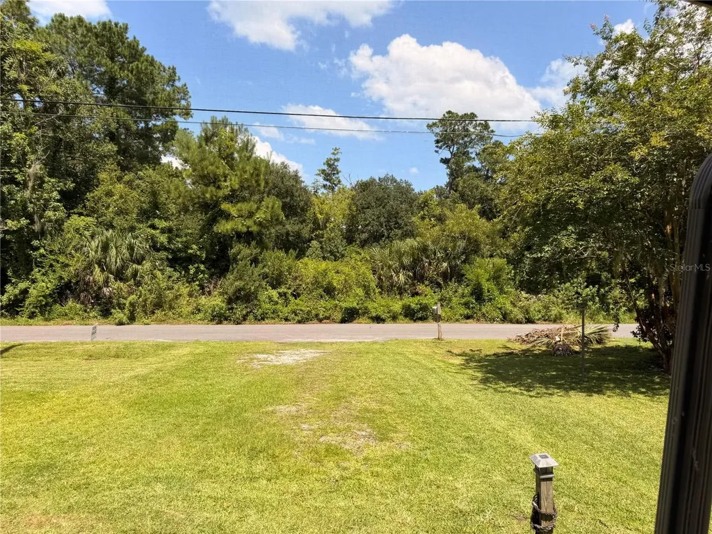 55643 Lisa Street Astor FL 32102