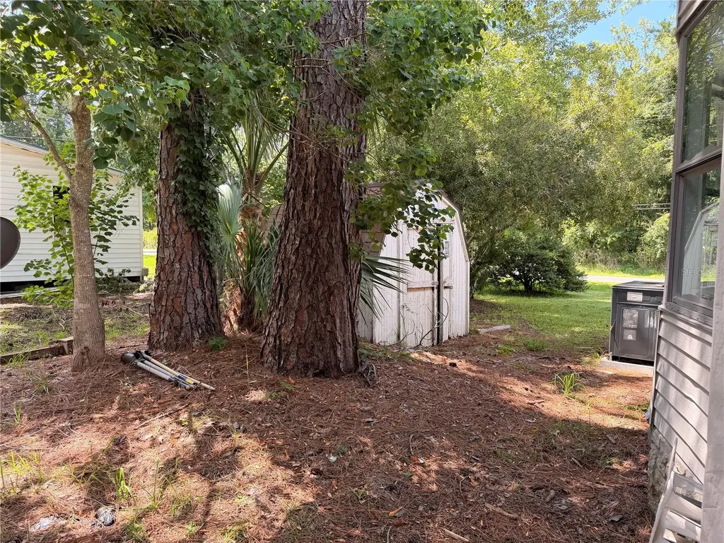 55643 Lisa Street Astor FL 32102