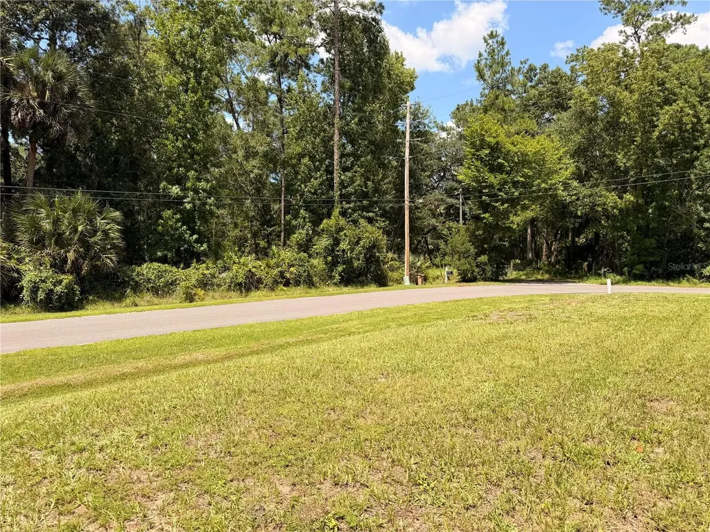 55643 Lisa Street Astor FL 32102