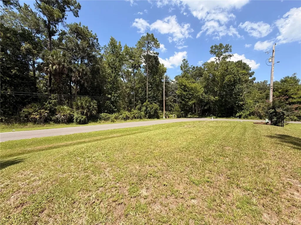 55643 Lisa Street Astor FL 32102