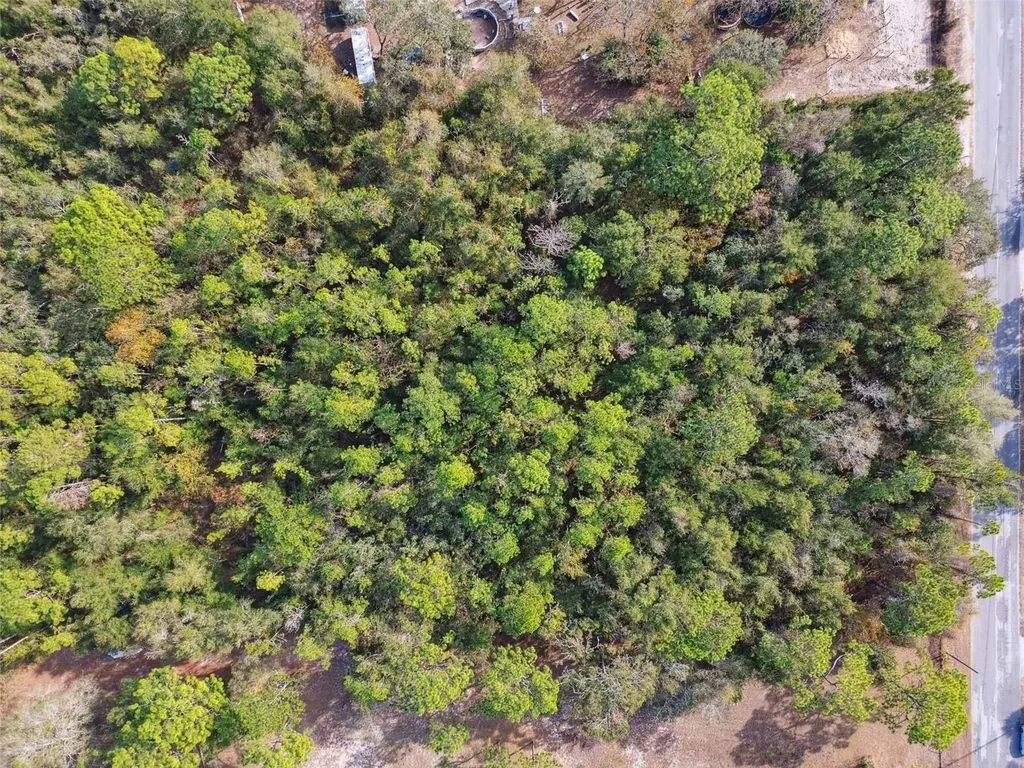 Little Ranch Road Spring Hill FL 34610