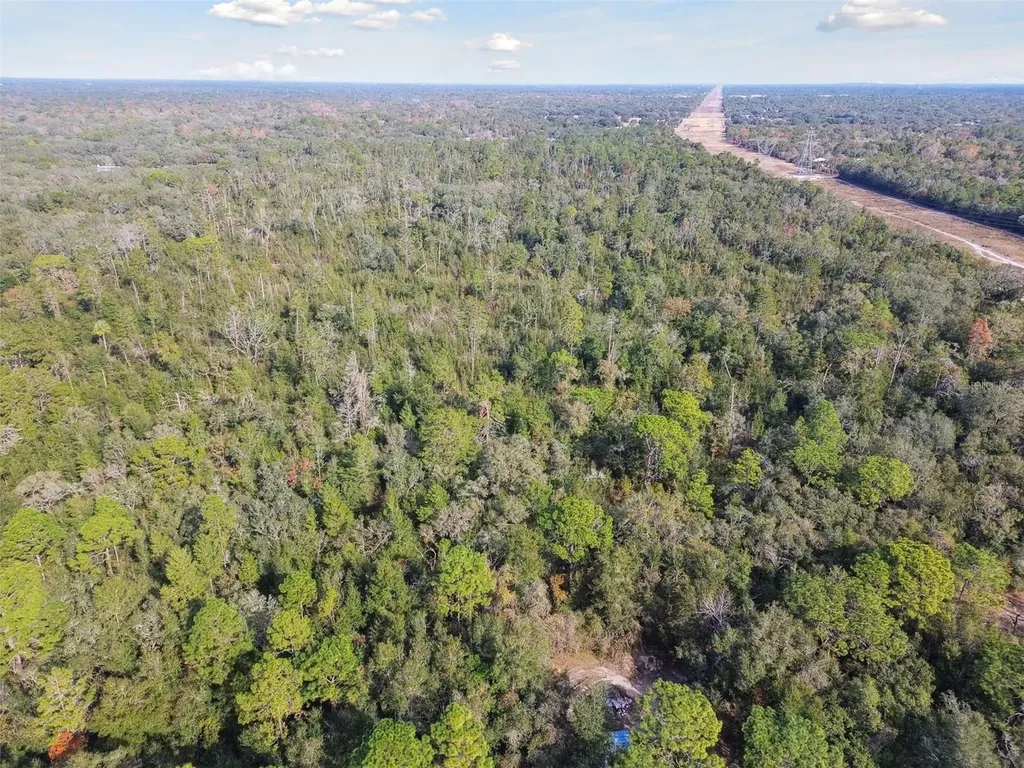 Little Ranch Road Spring Hill FL 34610